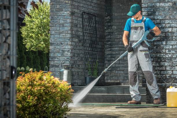 Best Driveway Pressure Washing  in Mililani Mauka, HI